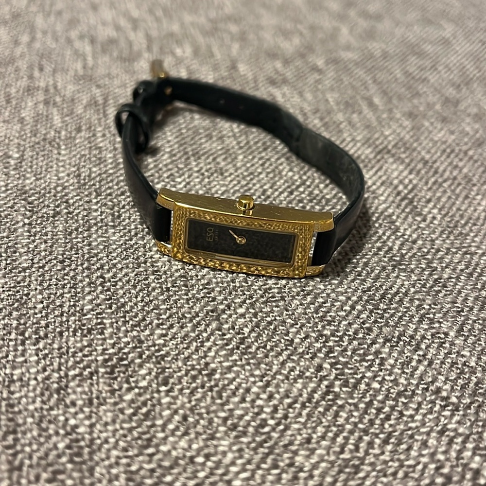 ESQ watch